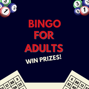 Bingo for Adults